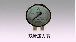 雙針壓力表