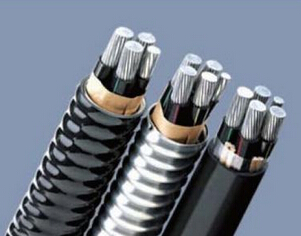 �X�Ͻ������|